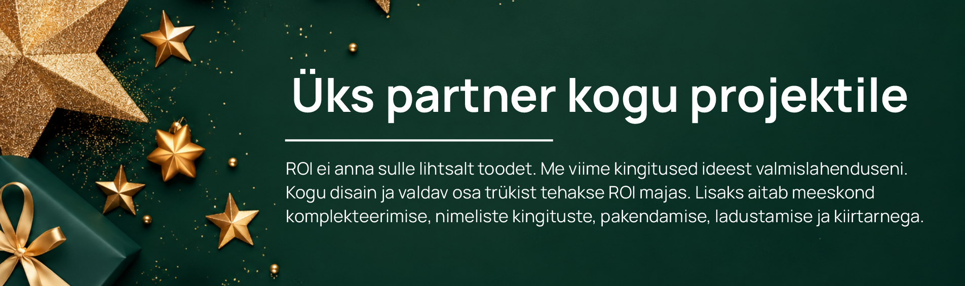 One partner for the whole project